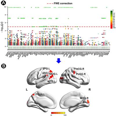 Brain-wide functional connectivity alterations and their cognitive correlates in subjective cognitive decline